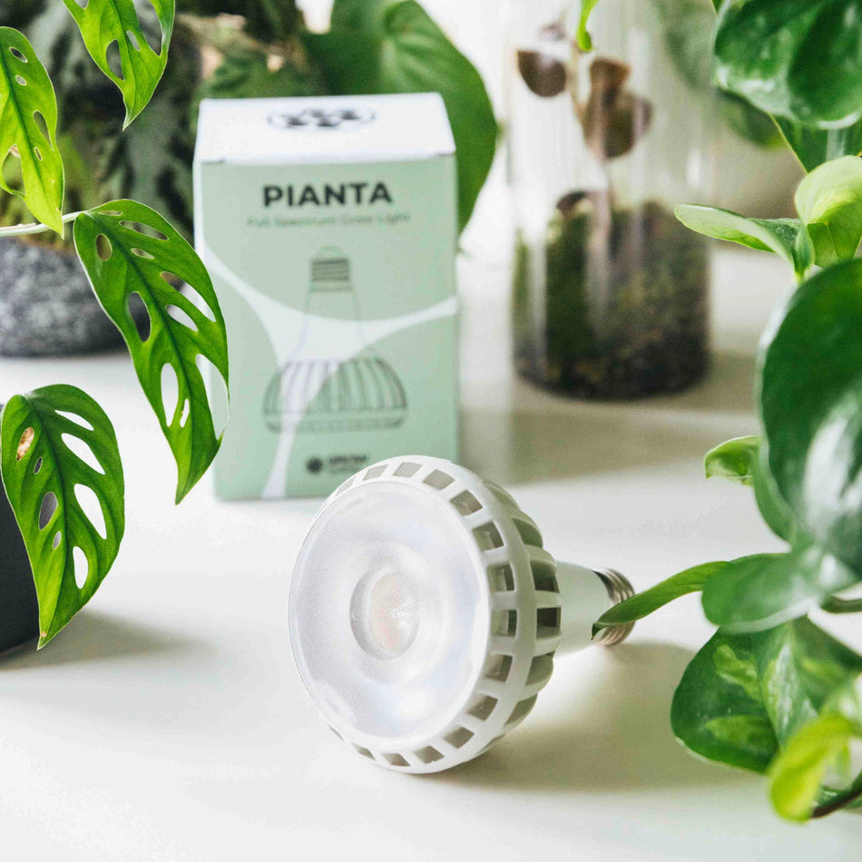Grow Light LED Bulb